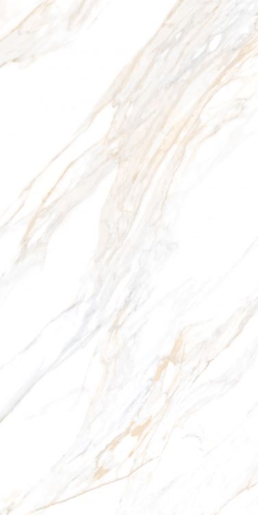 Aurum Calacatta Polished 24 x 48